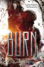 Burn - Preview