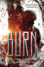 Capa do artigo Burn