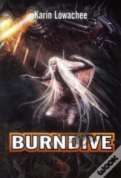 Capa do artigo Burndive