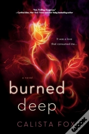 Capa do artigo Burned Deep