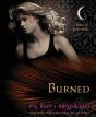 Burned - Preview