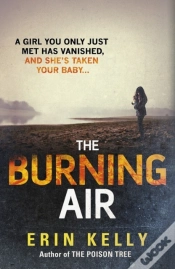 Capa do artigo Burning Air