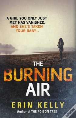 Capa do artigo Burning Air