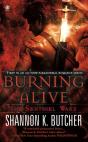 Burning Alive - Preview