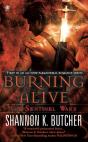 Burning Alive - Preview