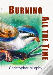 Capa do artigo Burning All The Time