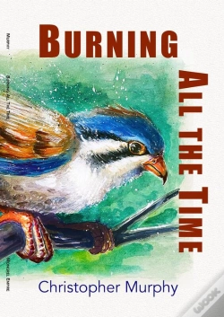 Capa do artigo Burning All The Time