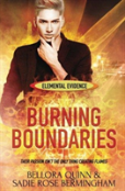 Burning Boundaries