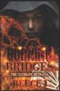 Burning Bridges - Preview