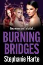 Burning Bridges - Preview