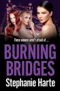 Burning Bridges - Preview