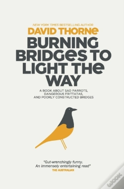 Capa do artigo Burning Bridges To Light The Way