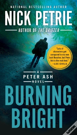 Capa do artigo Burning Bright