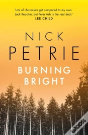 Capa do artigo Burning Bright