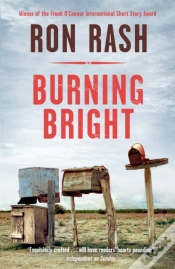 Capa do artigo Burning Bright
