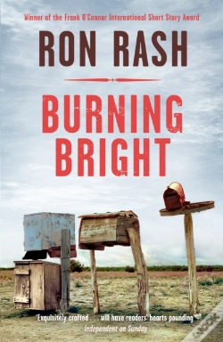 Capa do artigo Burning Bright