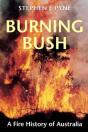 Burning Bush - Preview