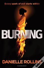 Capa do artigo Burning