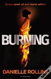 Capa do artigo Burning