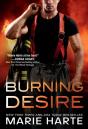 Burning Desire - Preview