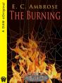 Burning - Preview