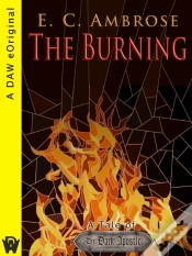 Capa do artigo Burning