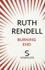 Burning End (Storycuts) - Preview