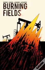Capa do artigo Burning Fields