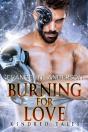 Burning For Love - Preview