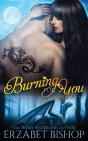 Burning For You - Preview
