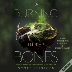 Capa do artigo Burning In The Bones