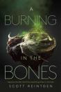 Burning In The Bones - Preview