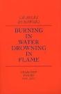 Burning In Water, Drowning In Flame - Preview