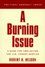 Burning Issue - Preview