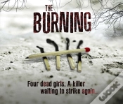 Capa do artigo Burning