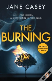 Capa do artigo Burning