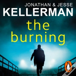 Capa do artigo Burning