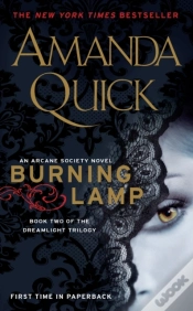 Capa do artigo Burning Lamp