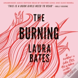 Capa do artigo Burning