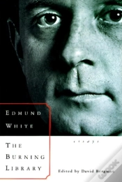 Capa do artigo Burning Library