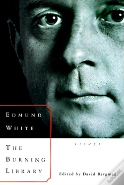 Capa do artigo Burning Library