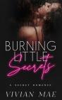 Burning Little Secrets - Preview