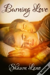 Capa do artigo Burning Love