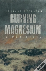 Capa do artigo Burning Magnesium