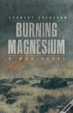 Capa do artigo Burning Magnesium