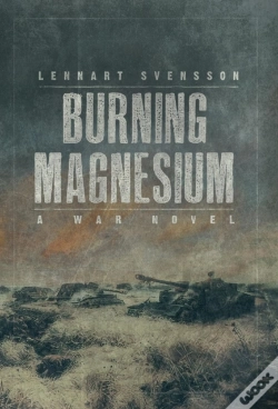Capa do artigo Burning Magnesium
