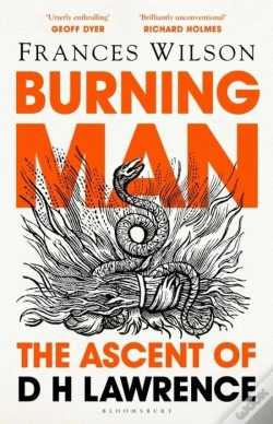 Capa do artigo Burning Man
