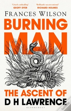 Capa do artigo Burning Man