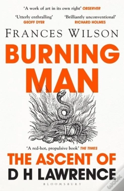 Capa do artigo Burning Man
