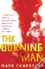 Capa do artigo Burning Man